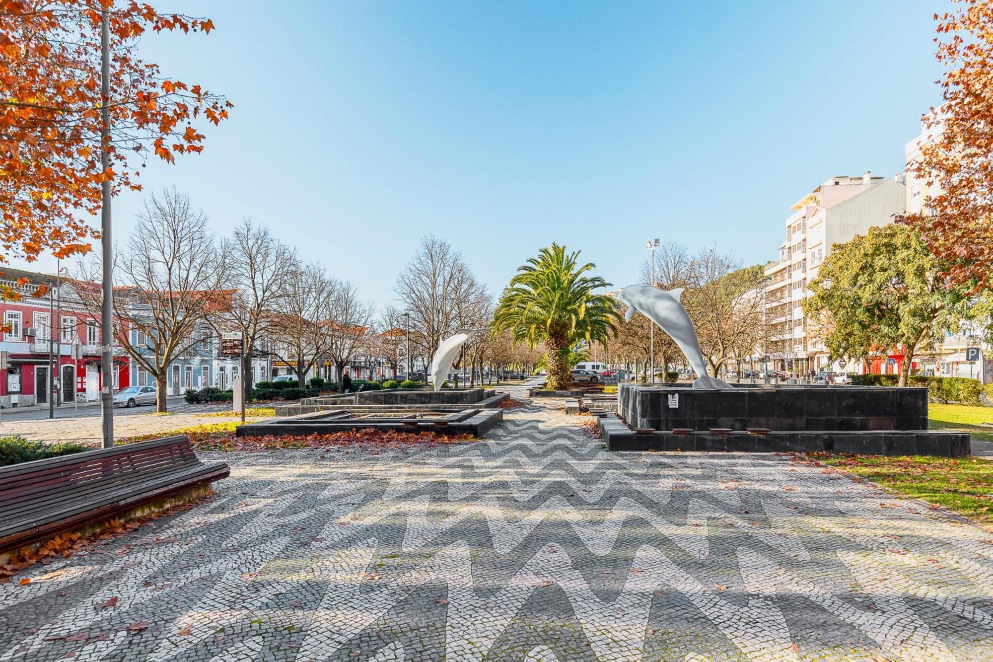 Setubal Dreams Daire Dış mekan fotoğraf