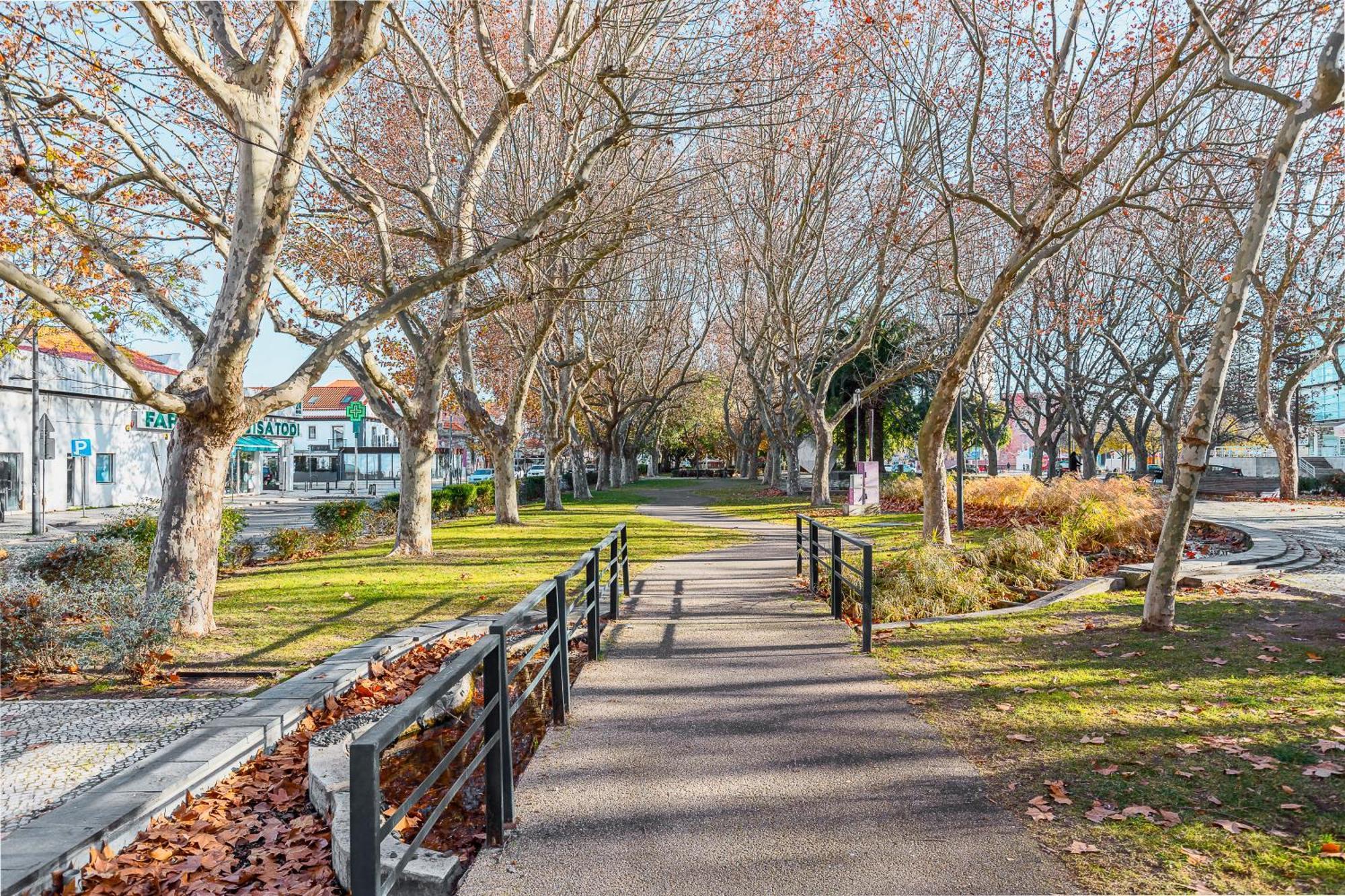 Setubal Dreams Daire Dış mekan fotoğraf